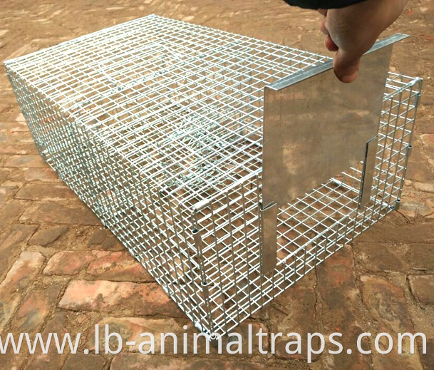 Repeating Control Trap Wire Cage